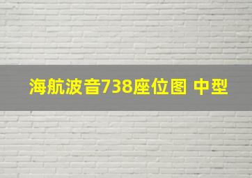 海航波音738座位图 中型